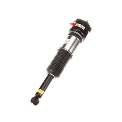 LUFTFEDERBEIN Arnott AS2856 60