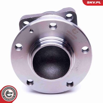 SET RULMENT ROATA ESEN SKV 29SKV302 2