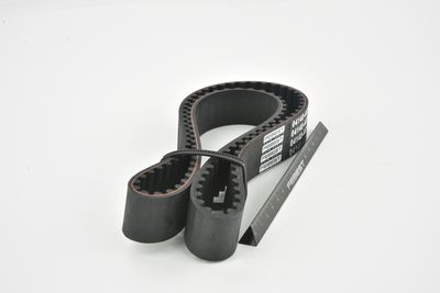 CUREA DE DISTRIBUTIE FEBEST 041404G18 42