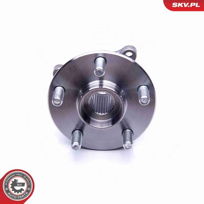 SET RULMENT ROATA ESEN SKV 29SKV255 3