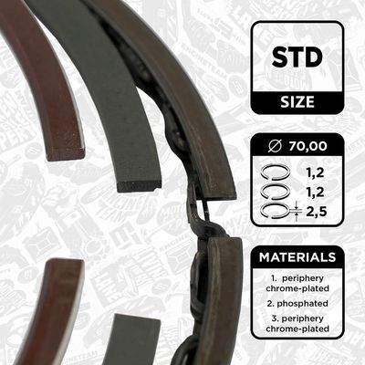 SET SEGMENTI PISTON