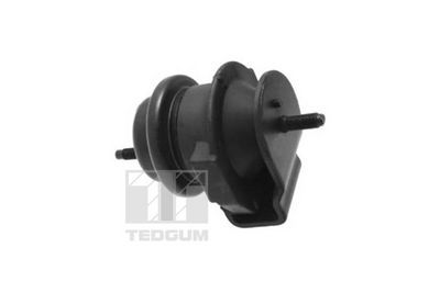 TED95509