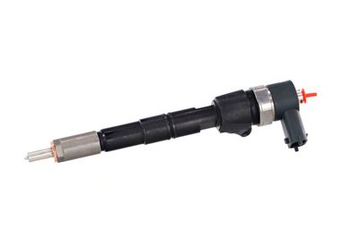 INJECTOR REMANTE 002003001391R 9