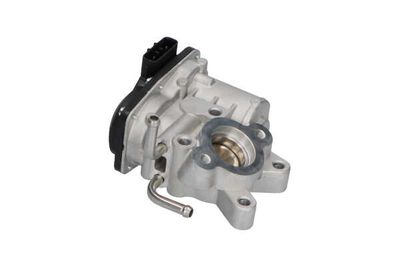 SUPAPA EGR Kavo Parts EEG8003 24