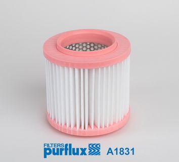PURFLUX A1831 Воздушный фильтр  для AUDI A8 (Ауди А8)