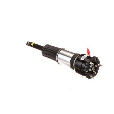 LUFTFEDERBEIN Arnott AS2856 43