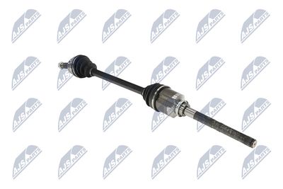 PLANETARA NTY NPWMS086 12