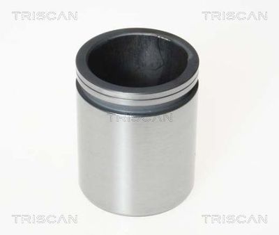 TRISCAN 8170 234424 Комплект направляющей суппорта  для IVECO (Ивеко)