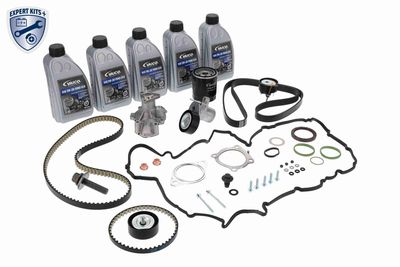 SET CUREA DE DISTRIBUTIE VAICO V253148 3