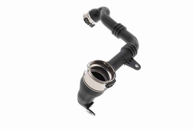 FURTUN EAR SUPRAALIMENTARE ACKOJA A380815 4