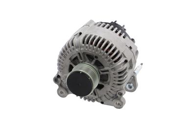 GENERATOR / ALTERNATOR REMANTE 011003000030R 61