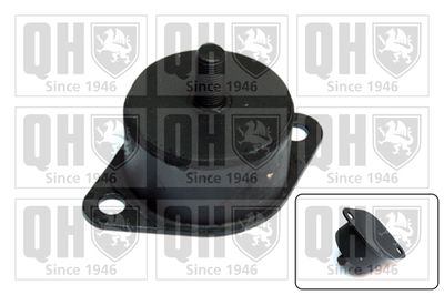 Подвеска, двигатель QUINTON HAZELL EM568 для AUSTIN MINI