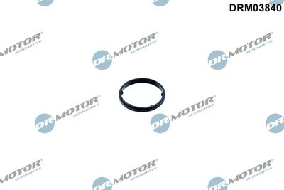Dr.Motor Automotive Tarpiklis, alyvos aušintuvas (tepimas)