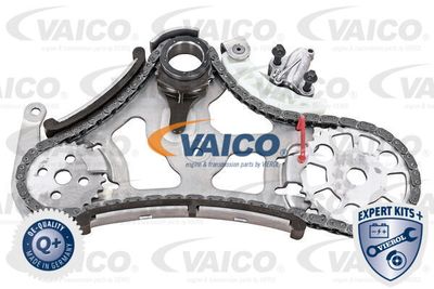 Комплект цепи, привод масляного насоса VAICO V20-3918 для BMW X6