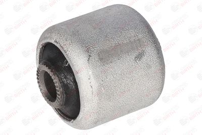 SUPORT TRAPEZ BIRTH 2129 12