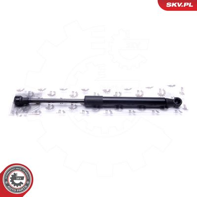 Dujinė spyruoklė, bagažinė