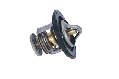 TERMOSTAT LICHID RACIRE NRF 725143 38