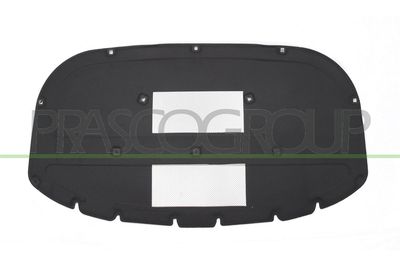 MATERIAL AMORTIZARE ZGOMOT NISA MOTOR