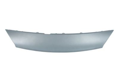 engine bonnet toe clip (voor het schilderen) past: RENAULT GRAND SCENIC II Ph I, SCENIC II Ph I 06.03-10.06