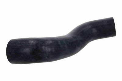 FURTUN EAR SUPRAALIMENTARE ACKOJA A370122 1