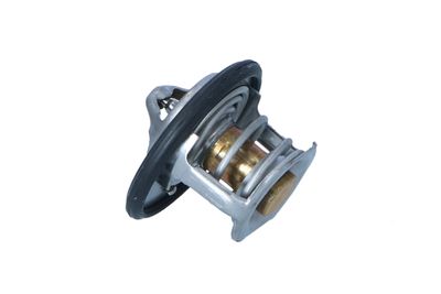TERMOSTAT LICHID RACIRE NRF 725305 9