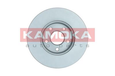 Brake Disc 103591