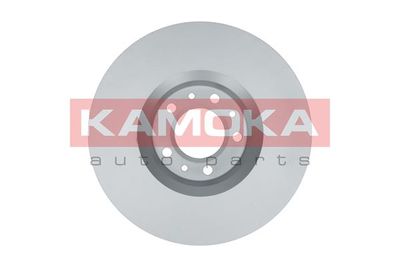 Brake Disc 1031053