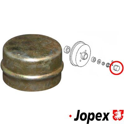 CAPAC DE PROTECTIE BUTUC ROATA