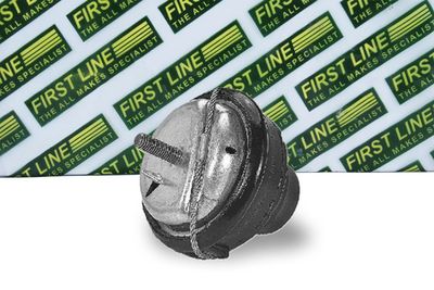 окачване, двигател FIRST LINE FEM3478