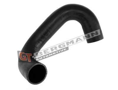 GT-BERGMANN Automotive Kompresoriaus padavimo žarna