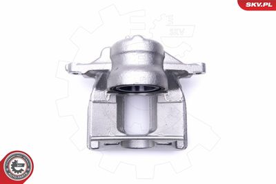 Brake Caliper 46SKV961