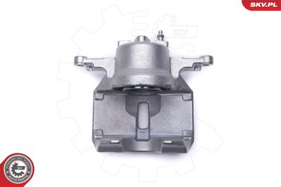 Brake Caliper 46SKV982