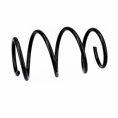 ARC SPIRAL EIBACH R10723 6