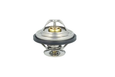 TERMOSTAT LICHID RACIRE NRF 725478 24