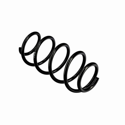 ARC SPIRAL EIBACH R10193 10