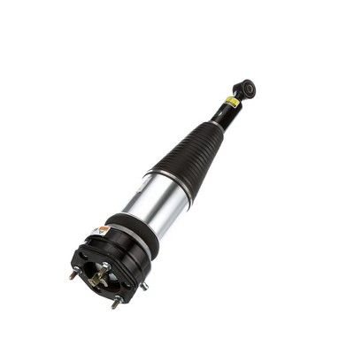 BRAT ARC PNEUMATIC Arnott AS2894 61