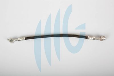 Тормозной шланг RICAMBIFLEX GM 02160950 для HYUNDAI i40