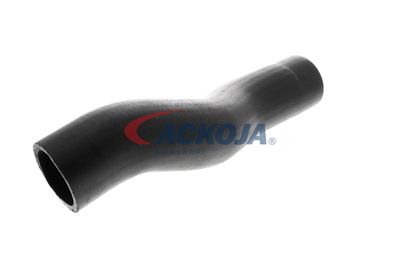 FURTUN EAR SUPRAALIMENTARE ACKOJA A529600 29