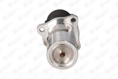 SUPAPA EGR BIRTH 90018 10