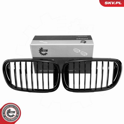 GRILA RADIATOR ESEN SKV 66SKV222