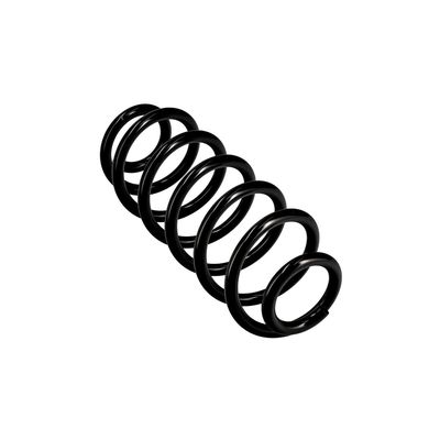 ARC SPIRAL EIBACH R10141 23