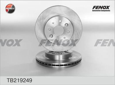 FENOX TB219249 Тормозные диски FENOX для KIA RIO