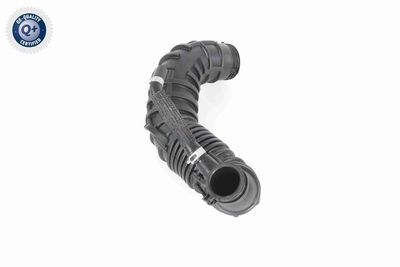 FURTUN EAR SUPRAALIMENTARE ACKOJA A520641 8