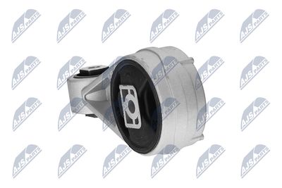 SUPORT MOTOR NTY ZPSFR003 12