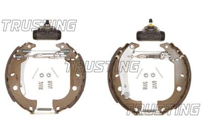 Sada brzdových čelistí TRUSTING 6153