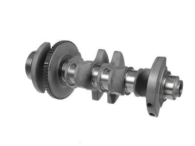 ARBORE COTIT ET ENGINETEAM HK0216 20