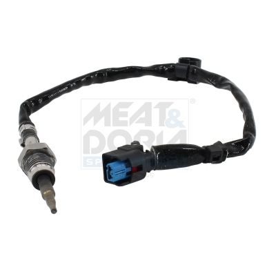 Sensor, Abgastemperatur
