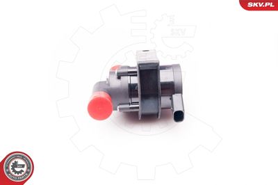 Auxiliary Water Pump (cooling water circuit) 22SKV010