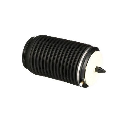 ARC PNEUMATIC DIRECTIE Arnott A3294 30