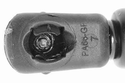 GASFEDER KOFFER-/LADERAUM VAICO V249654 1